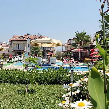 Lale Fethiye
