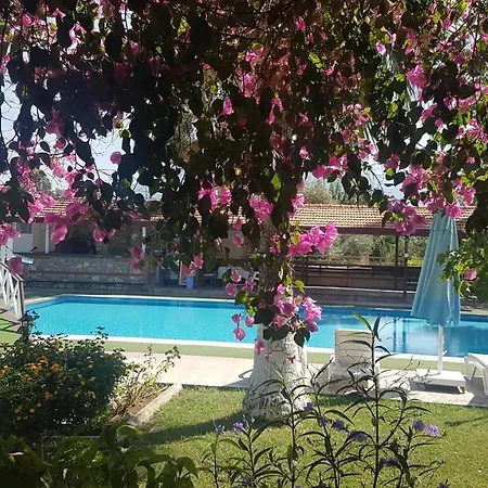 Lale * Fethiye